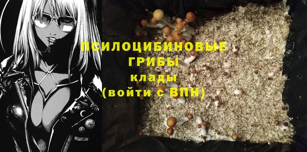 ECSTASY Алексин