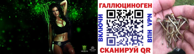Галлюциногенные грибы мицелий  Урюпинск 